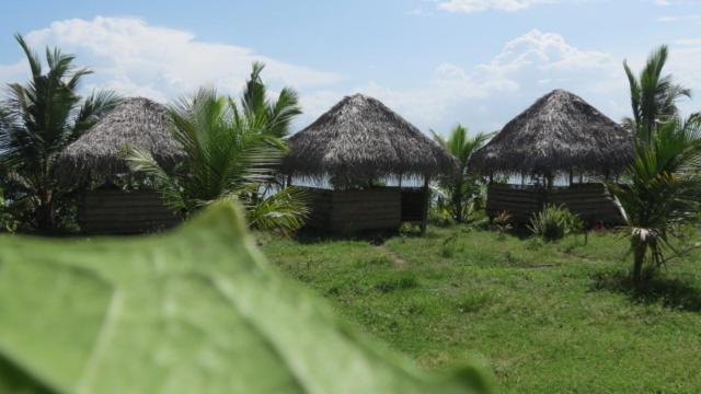 Hotel Rise & Set Baie d'Arugam Extérieur photo