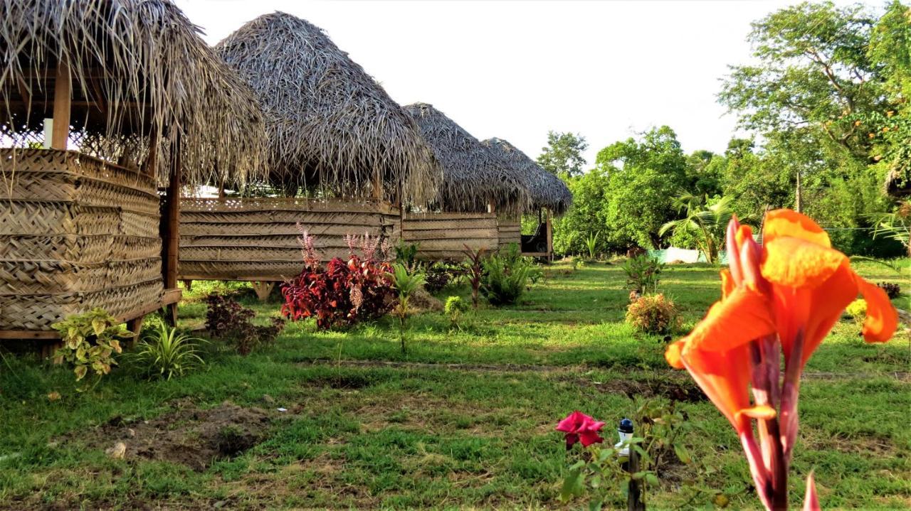 Hotel Rise & Set Baie d'Arugam Extérieur photo